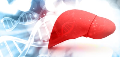 shutterstock_550368169-liver-red-01-science-pool